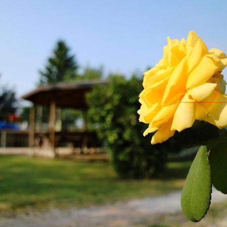 פונטי סול מינצ'יו Agriturismo Ai Vigneti מראה חיצוני תמונה