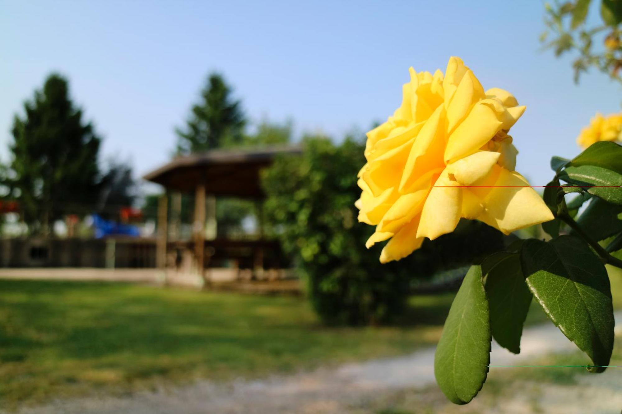 פונטי סול מינצ'יו Agriturismo Ai Vigneti מראה חיצוני תמונה